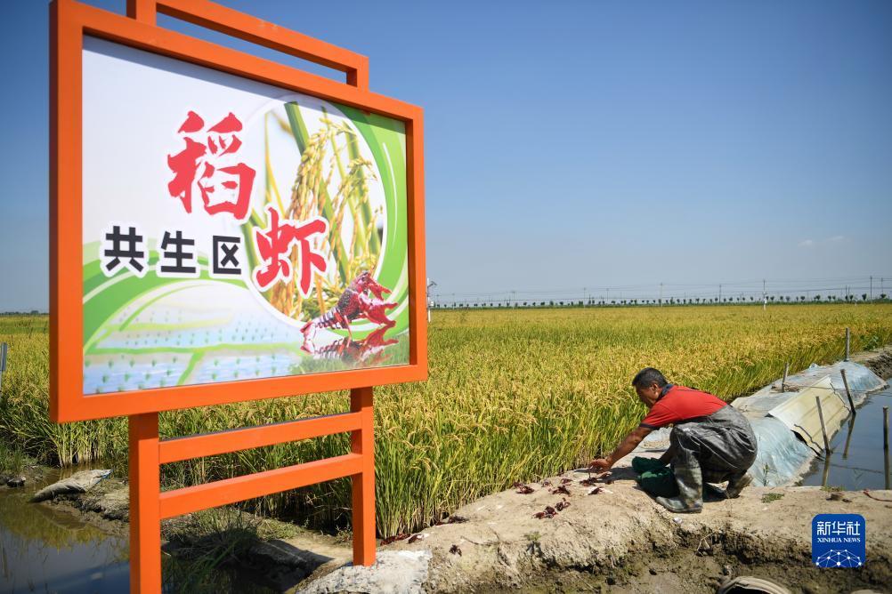 欢乐来斗牛